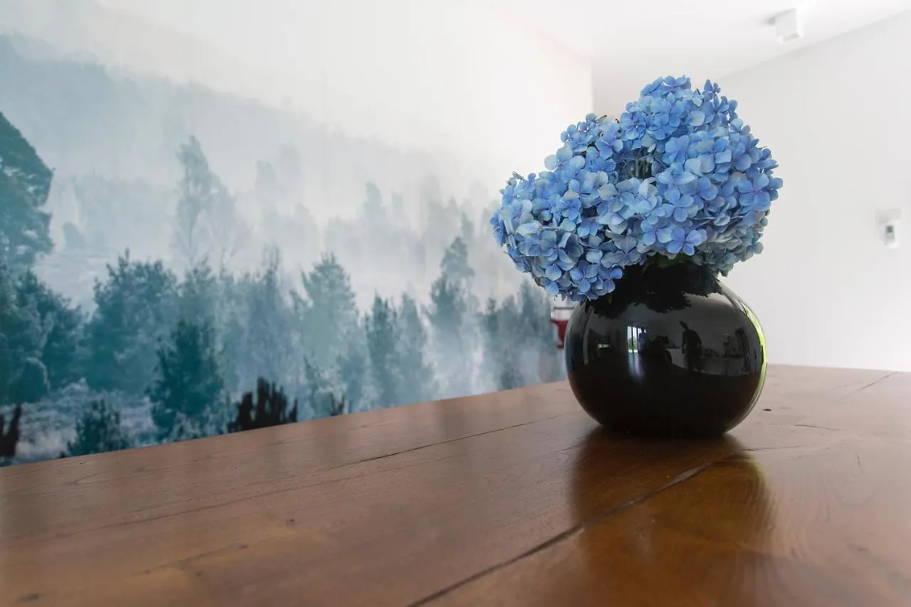 Bed & Breakfast Aqua&Co Bellagio - Eco Conscious Stay
